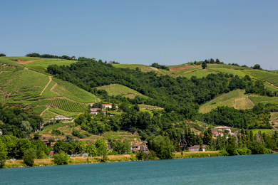 Nos propriétés en Vallée du Rhone et dans le Diois